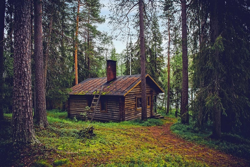 Forest Cabin Retreat